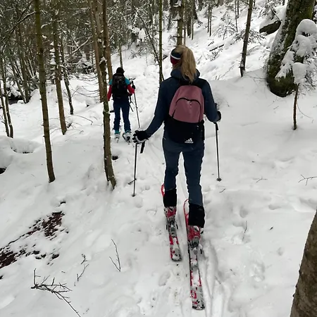 Haus Sonnenblick * Arrach