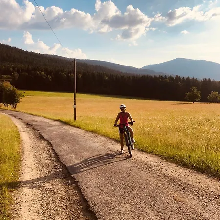 Apartamento Haus Sonnenblick Arrach
